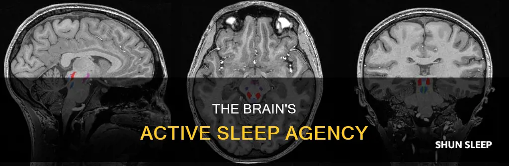 when youre sleeping what agencey would you be using