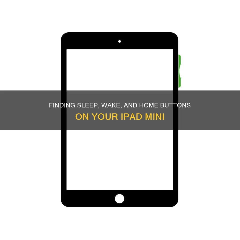 where are sleep wake and home buttons on ipad mini