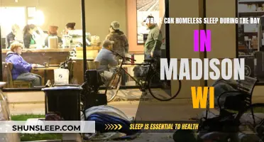 Madison's Daytime Homelessness: Where Do They Rest?