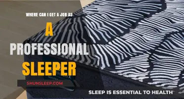Dream Jobs: Where to Find Paid Professional Sleeper Positions