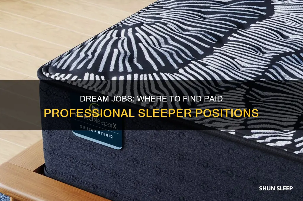 where can i get a job as a professional sleeper