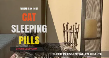 Safe Cat Sedation Options: Where to Find Sleeping Aids for Felines