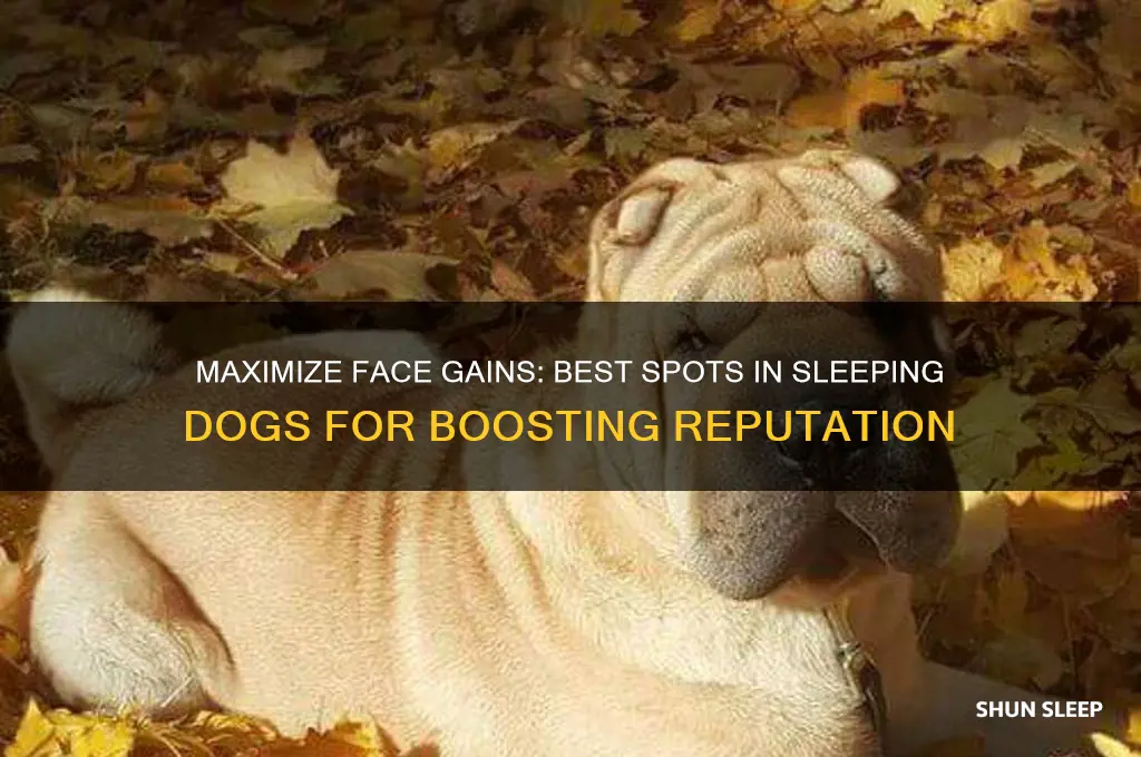 where can i get more face in sleeping dogs