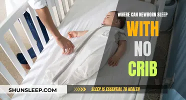 Newborn Sleep Solutions When No Crib is Available