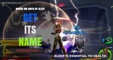 Unraveling the Mystery: The Origin of Birth by Sleep's Title