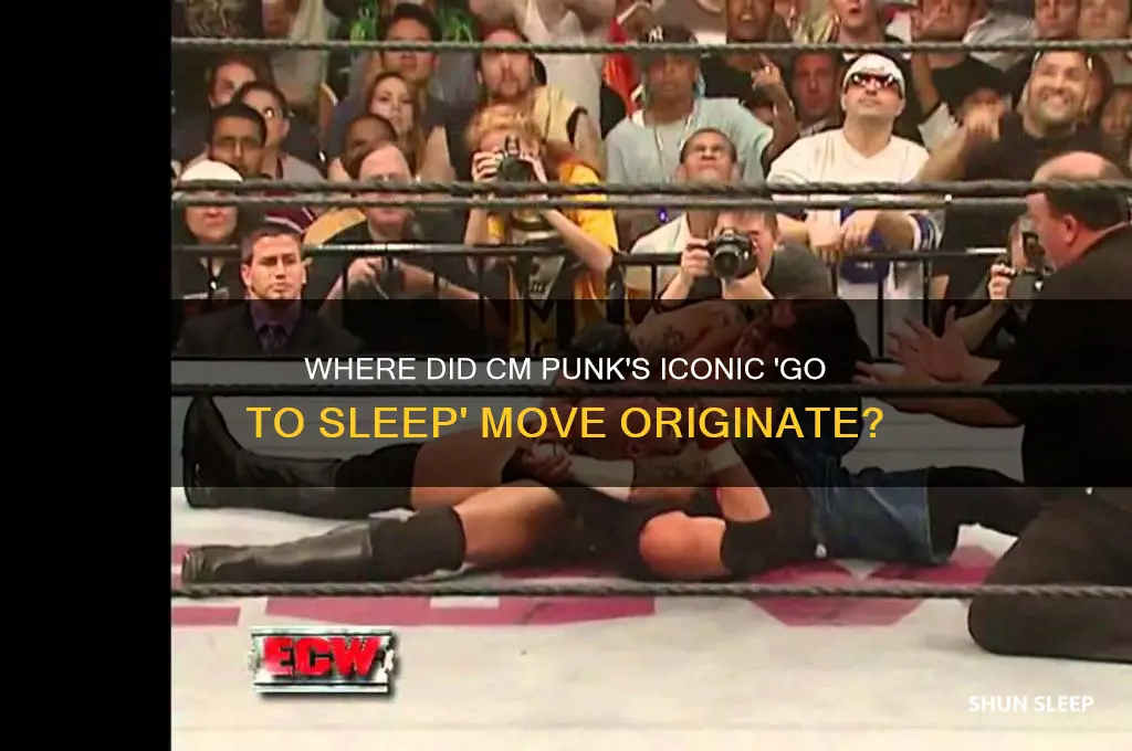 where did cm punk get go to sleep