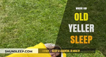 Old Yeller's Sleeping Arrangements: Where Did He Rest?