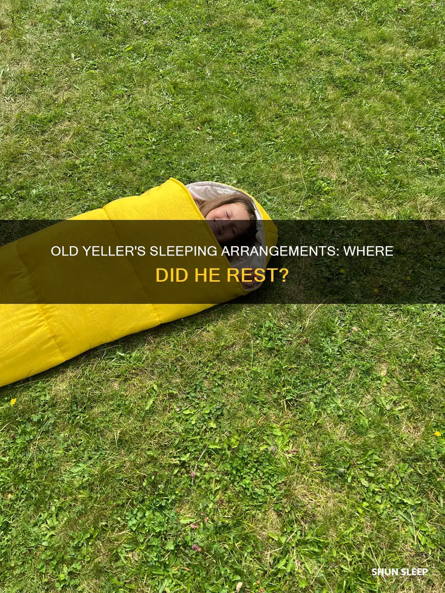 where did old yeller sleep
