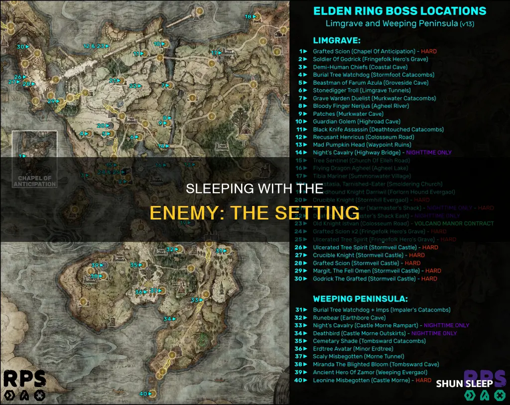 where did sleeping with the enemy take place