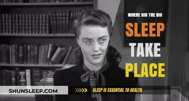 The Big Sleep: Setting and Location