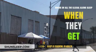 Where Do Undocumented Immigrants Sleep? Exploring Shelter Realities