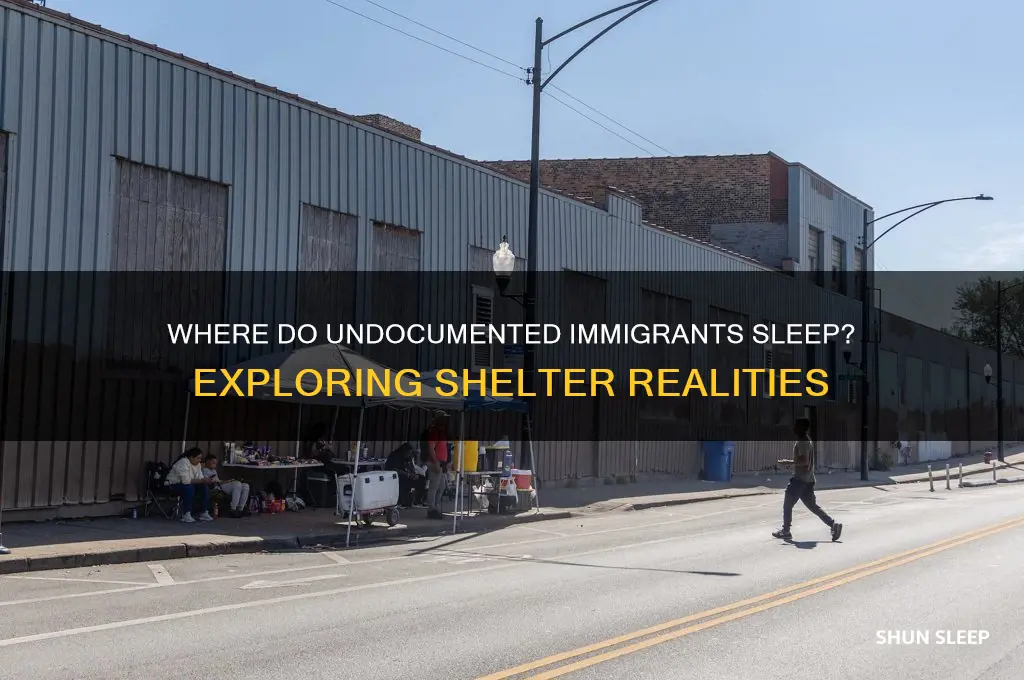 where do all the illegal aliens sleep when they get