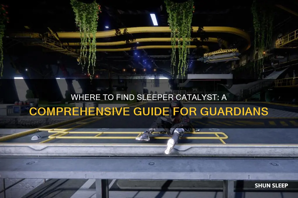 where do you get sleeper catalyst