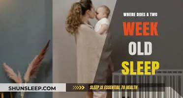 Newborn Sleep: Where Should Your Baby Nap?