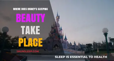 Sleeping Beauty's Setting: Exploring the Magical Landscape