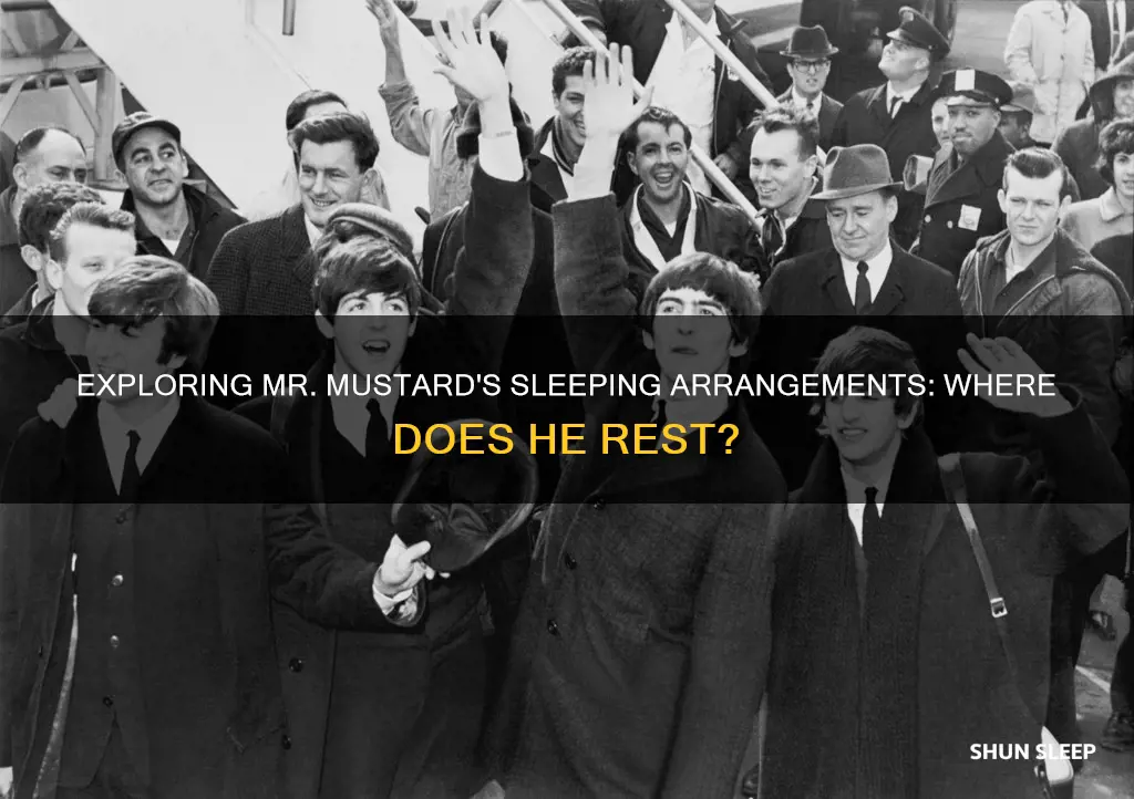where does mean mr mustard sleep