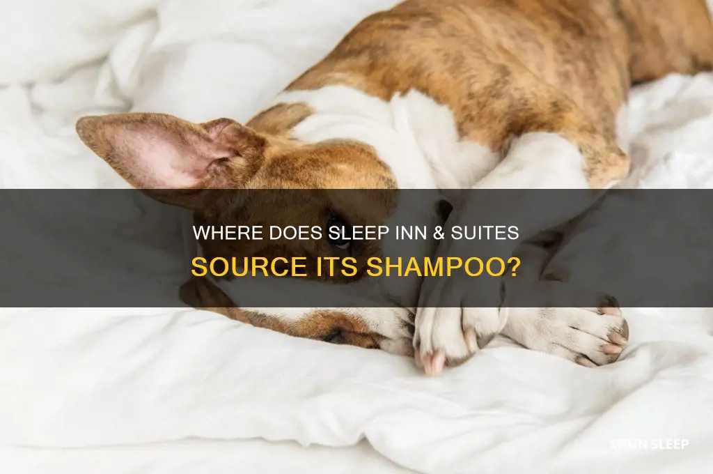 where does sleep inn & suites get its shampoo