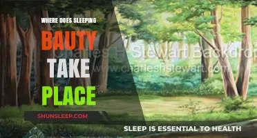 Sleeping Beauty's Location: A Fairytale Setting