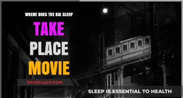 The Big Sleep's Cinematic Setting