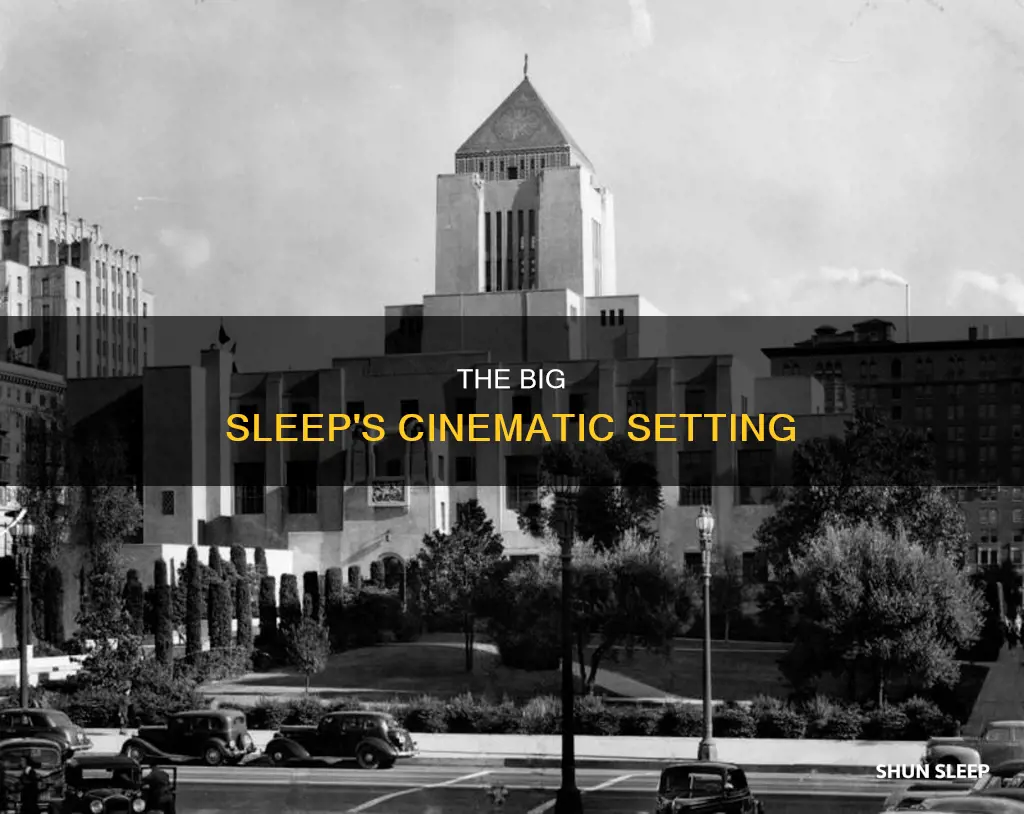where does the big sleep take place movie