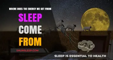 Unraveling Sleep's Energy Source: Restorative Processes and Biological Mechanisms