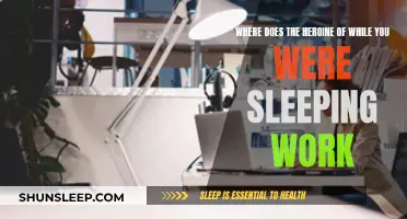 Working at a Call Center While You Were Sleeping