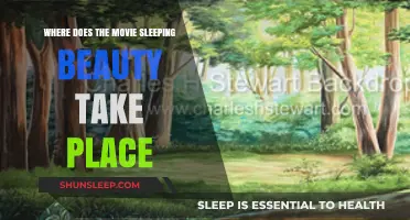 Sleeping Beauty's Setting: A Magical Place