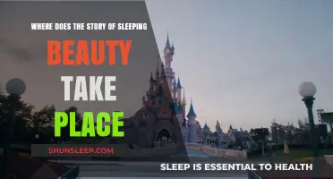 Sleeping Beauty's Setting: A Magical Place