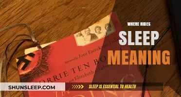 The Mystery of Sleep: Where Does It Hide?
