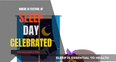 Sleep Festivals: Where Do They Happen?