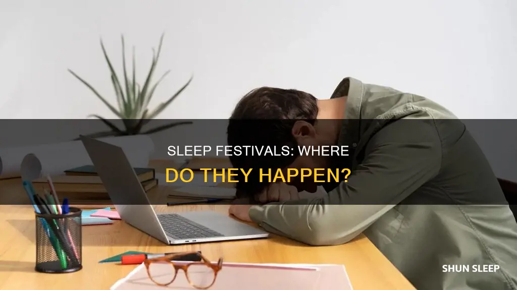 where is festival of sleep day celebrated