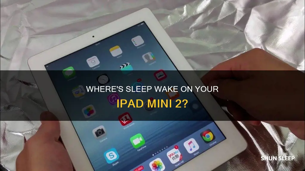 where is sleep wake in ipadmini2