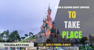Sleeping Beauty's Setting: Fact or Fantasy?