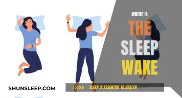 Understanding the Sleep-Wake Cycle: A Comprehensive Guide