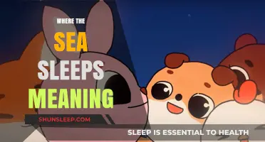 The Mystery of Where the Sea Sleeps