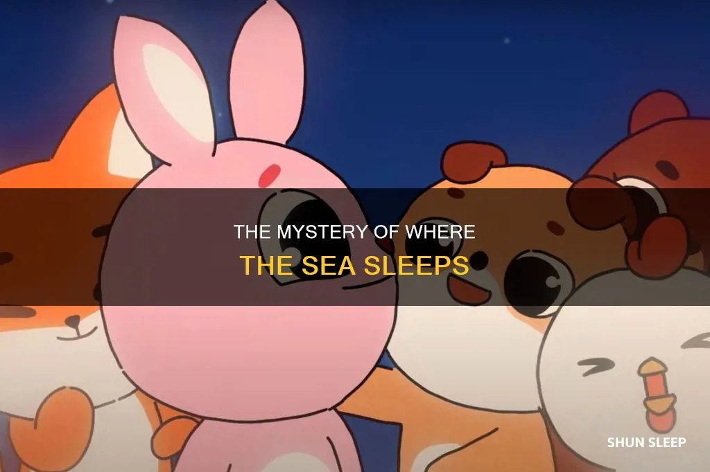 where the sea sleeps meaning