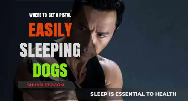 Sleeping Dogs Pistol Locations: Easy Access Guide for Gamers
