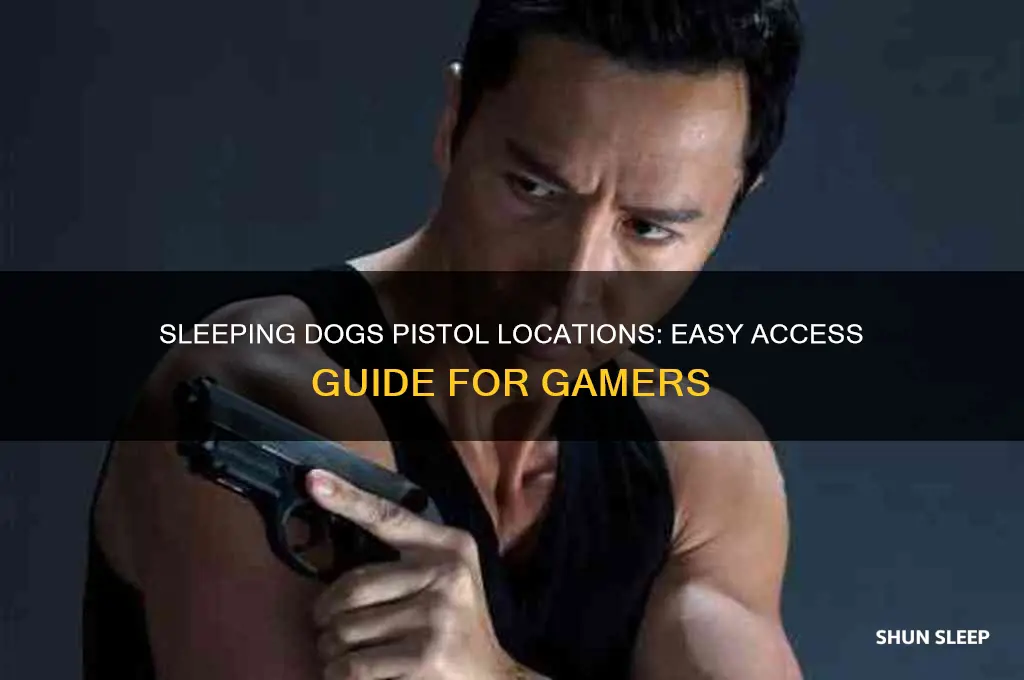 where to get a pistol easily sleeping dogs