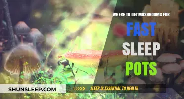 Best Mushroom Sources for Quick Sleep Potions: A Comprehensive Guide