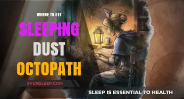Discover Sleeping Dust Locations in Octopath Traveler: A Comprehensive Guide