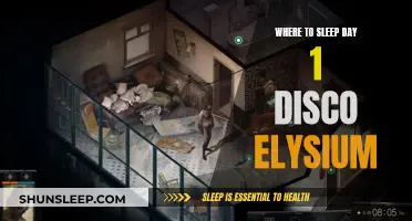 Finding a Place to Sleep in Disco Elysium