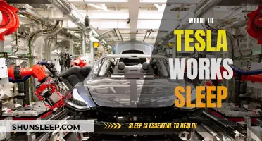 Tesla Workers' Sleep: Where and How Much?