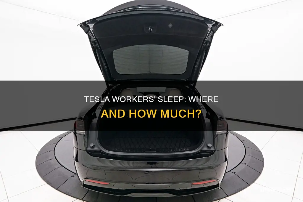 where to tesla works sleep