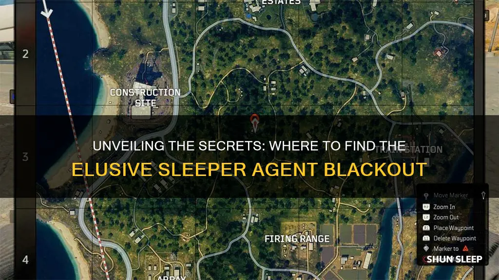 where to wake sleeper agent blackout