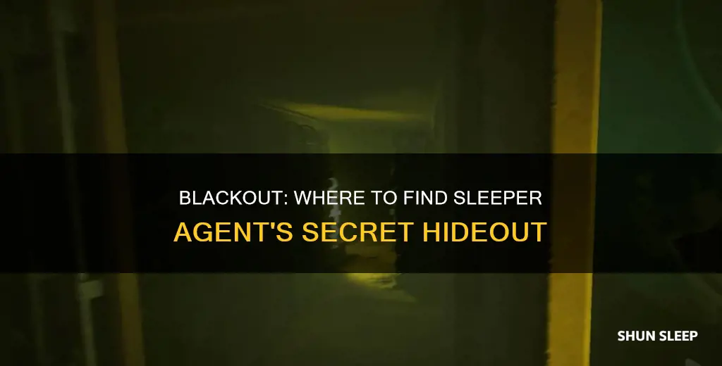where to wake sleeper agent blackout