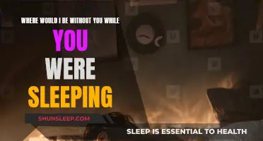 While You Were Sleeping, I Found Myself