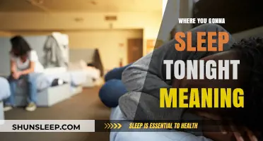Where Will You Sleep Tonight?