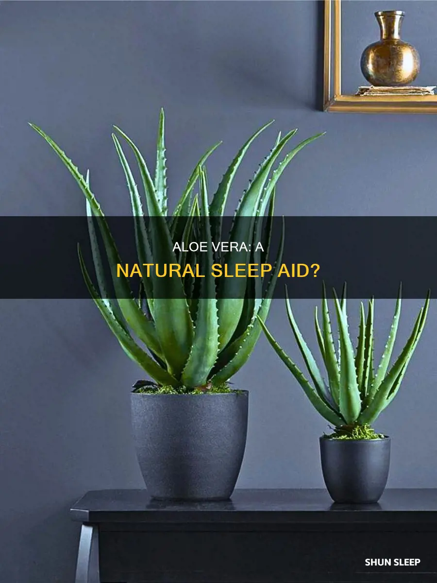 which alovera plants are better for sleep