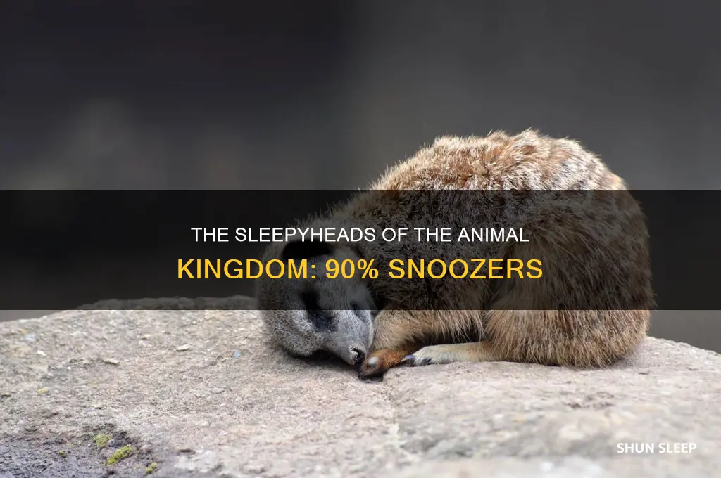 which animal sleeps 90 of the day