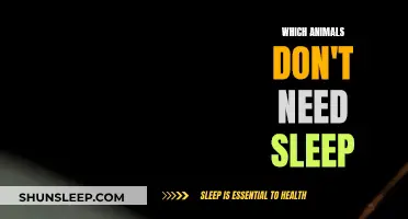 The Unsleeping World: Animals That Never Need Sleep